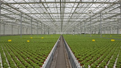 Gotham Greens’ new 150,000 square foot Colorado greenhouse within The Broe Group’s Great Western Industrial Park will employ hydroponic growing technology that enables the company to grow and harvest fresh produce year-round while using up to 95% less water and 97% less land than conventional farming.