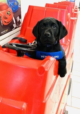 PenFed Credit Union Welcomes Puppy with a Purpose ?Alfie' to Help a Military Veteran or First Responder with a Disability