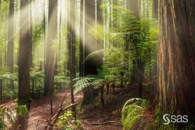 The Nature Conservancy achieves more efficient fundraising and increased donor retention using SAS Customer Intelligence 360.