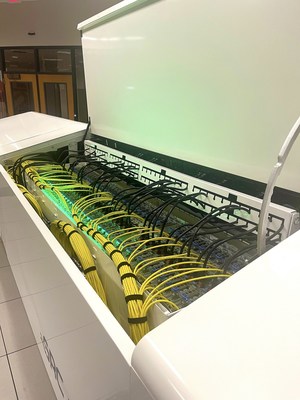Data center liquid immersion cooling system of GRC