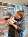PET FOOD EXPRESS KICKS OFF SPRING CAMPAIGN TO EASE KITTEN SEASON FOR RESCUES AND SHELTERS