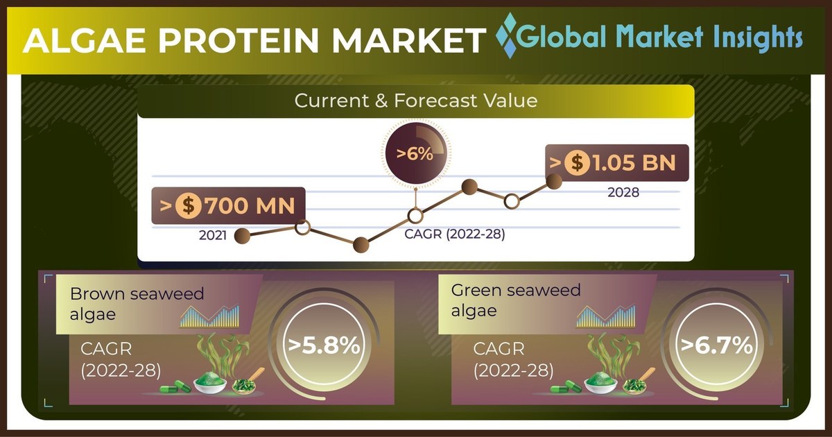 The Algae Protein Market is growing at 6% CAGR by 2028, says Global Market Insights Inc. - Vimarsana News
