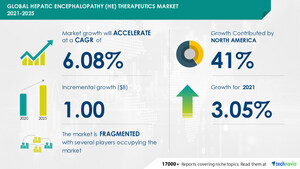 Hepatic Encephalopathy (HE) Therapeutics Market: 41% of Growth to Originate from North America | By Product (NADs, antibiotics, and others) and Geography | Market Size, Share, Outlook, and Opportunity Analysis, 2021 - 2025