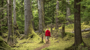 Le magazine Canadian Geographic invite ses lecteurs sur le terrain - Canadian Geographic Adventures