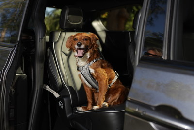 Chrysler brand is marking National Pet Day on April 11 by calling out the top pet-friendly features of the 2022 Chrysler Pacifica.