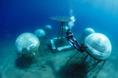 Nemo’s Garden’s biospheres are a unique type of underwater greenhouse, able to harness the positive environmental factors of the ocean to create an environment ideal for crop cultivation.
(Image credit: OceanReefGroup 2022)
