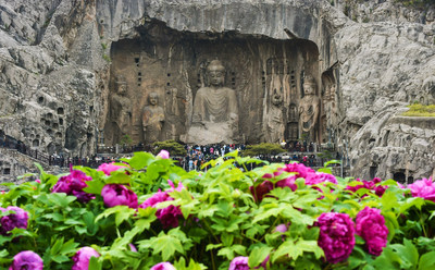 Photo shows the Longmen Grottoes surrounded with peony flowers in Luoyang, central China's Henan Province.