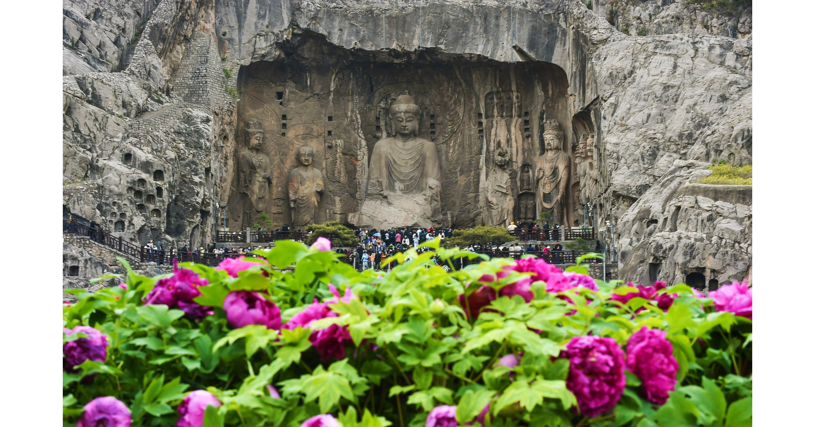Xinhua Silk Road: en Luoyang, China, comienzan las actividades tem&aacute;ticas de transmisi&oacute;n en vivo de las peon&iacute;as