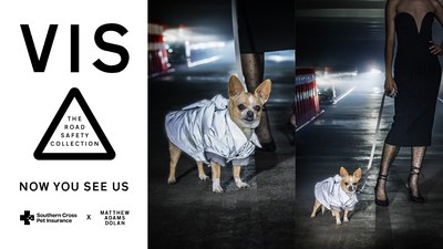 Our dogs model one of eight limited edition hi-vis pieces created by international fashion designer Matthew Adams Dolan. VIS - The Road Safety Collection is a couture collaboration with Southern Cross Pet Insurance, which supports New Zealand pets in looking fabulous while also keeping safe at night.