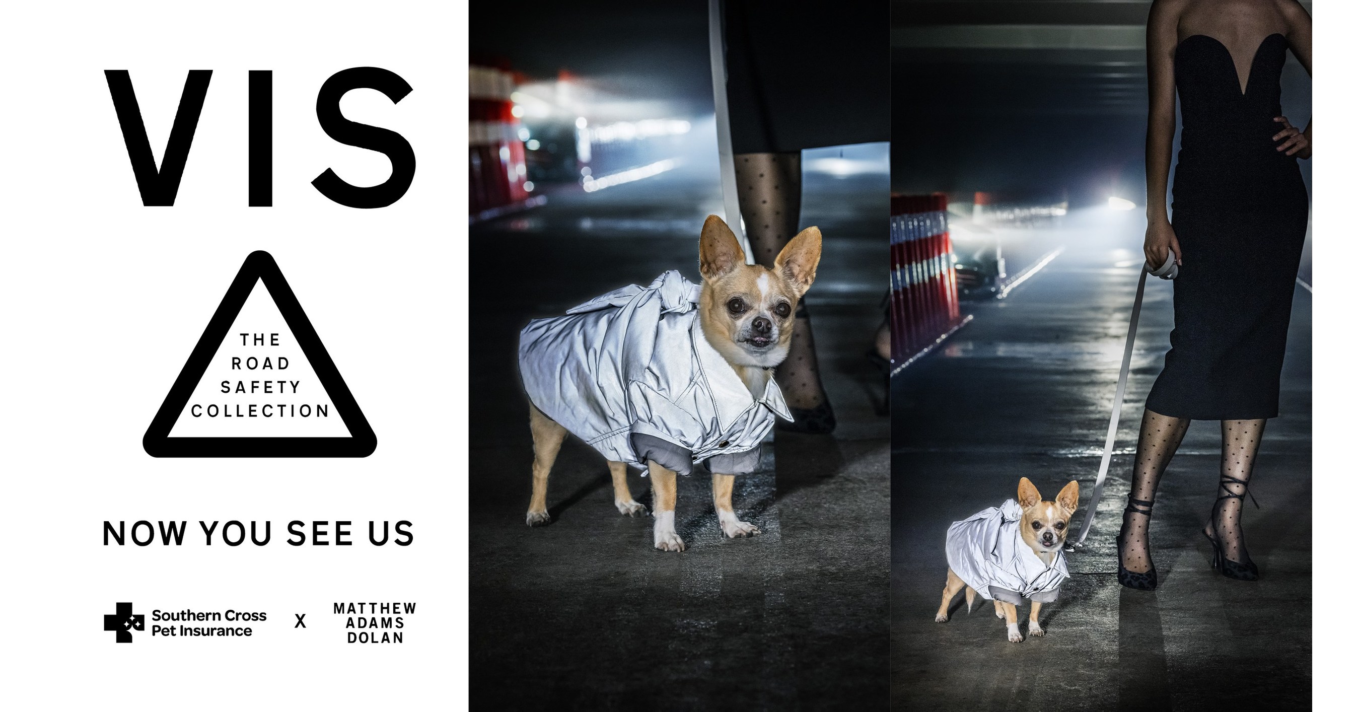 VIS - Pet Road Safety Collection by celeb fashion designer Matthew Adams  Dolan