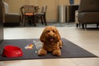 Baymont Hotels Will Give Pet Parents a Weekend Away in Exchange for Their Best Pup-Friendly Travel Tips