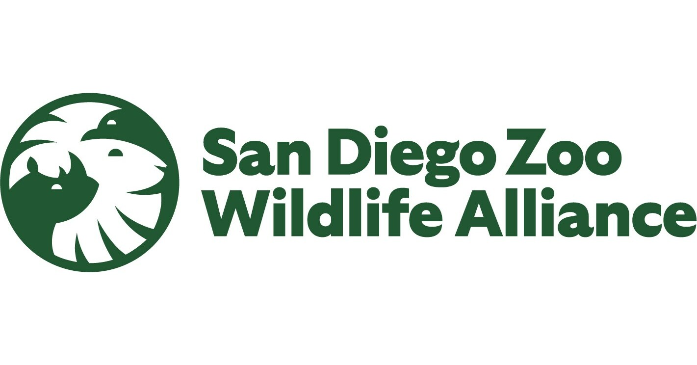 Tiger, Tiger  San Diego Zoo Wildlife Explorers