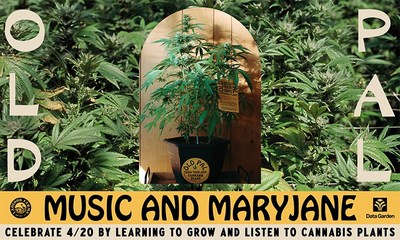 Old Pal Classic Shareable Cannabis celebrates 420 with the second iteration of the 'Grow Your Own' plants with the 'Music and Mary Jane' campaign focusing on the intersection of cannabis and music, highlighting music for and by plants. This is the first time the music from cannabis plants has been explored and shared with the world!