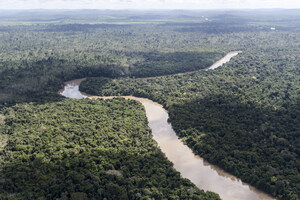 O histórico do desmatamento e a produção agrícola na Amazônia em debate