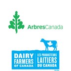 Les PLC et Arbres Canada se mobilisent pour le Jour de la Terre en élargissant la portée du financement des projets de reforestation