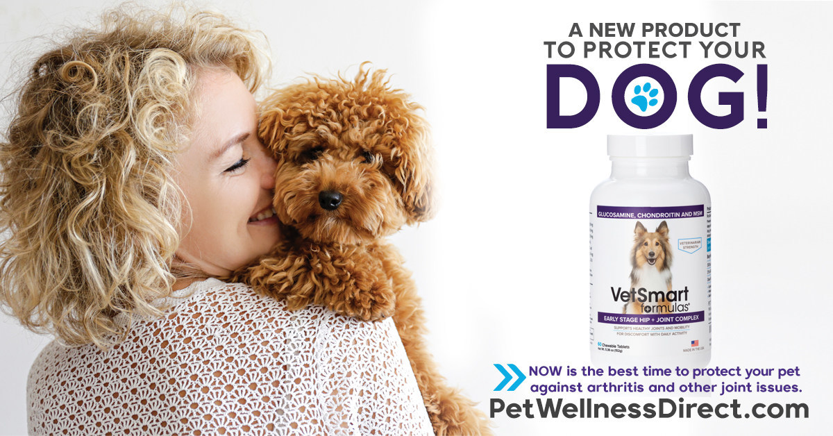 New Preventative Joint Supplement May Delay the Onset of Arthritis in Dogs - Vimarsana News