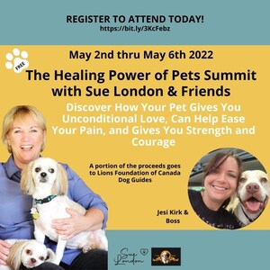 Sue London Launches First Online Global Pet Summit