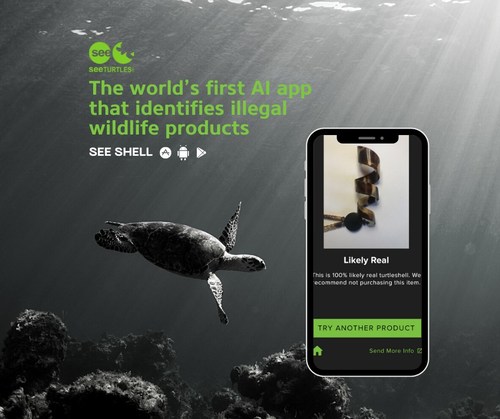 SEE Turtles