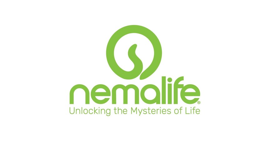 NemaLife develops second-generation, AI-driven high-throughput organism-on-chip screening platform