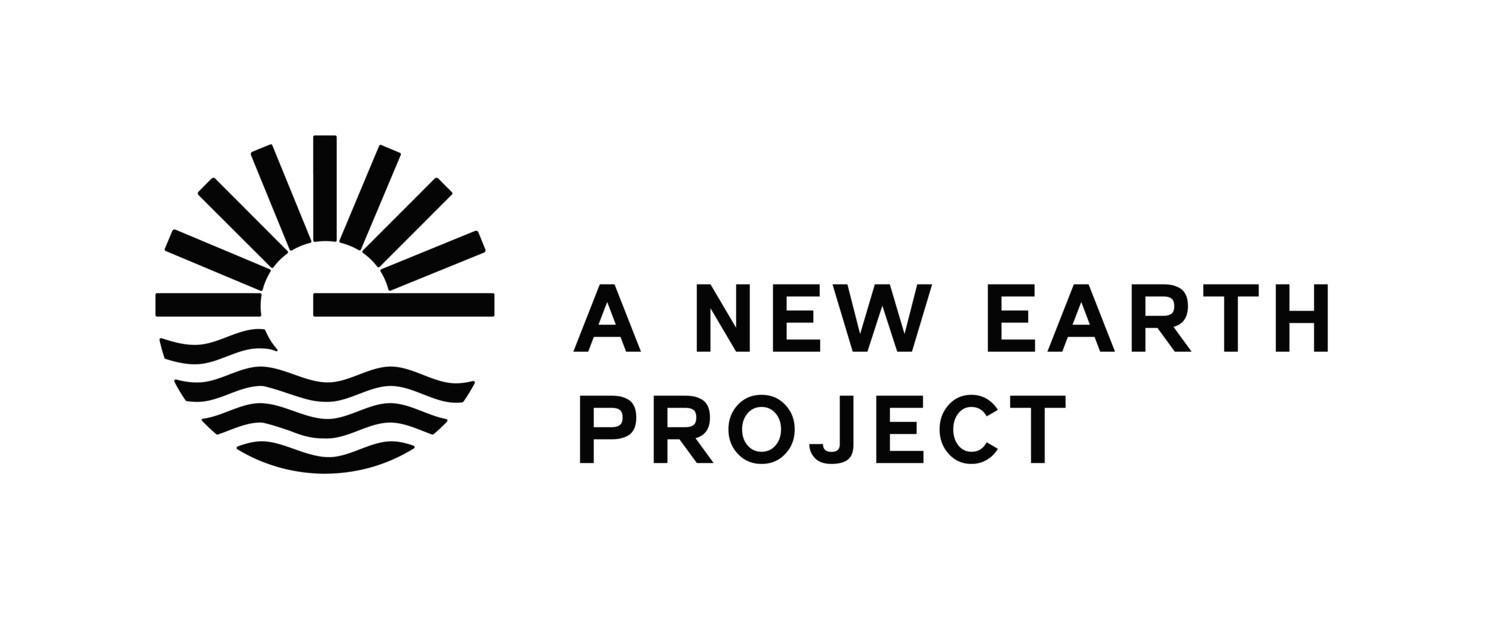 new earth project résumé