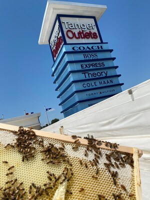 Tanger Outlets Commemorates Earth Day with Increased Commitment to Sustainability: Expansion of Tanger Honeybee Hives, Tree Planting Programs and Electric Vehicle Charging Upgrades