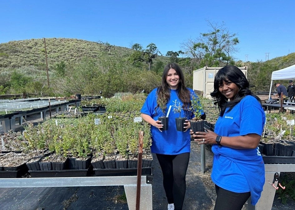 Rooter Hero plants trees, will clean beaches in honor of Earth Day 2022 - Vimarsana News