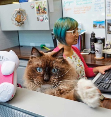 As Employers Return to Offices, Petco Encourages Adding “Pet-Friendly” Employee Benefits