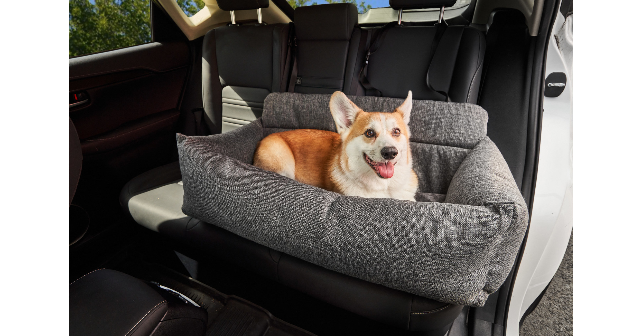 paw dog travel beds
