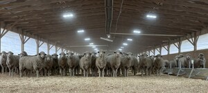 Superior Farms Celebrates Grand Opening of The Sheep Discovery Center