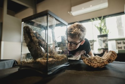 Unable to view the image, Please provide a valid URL.