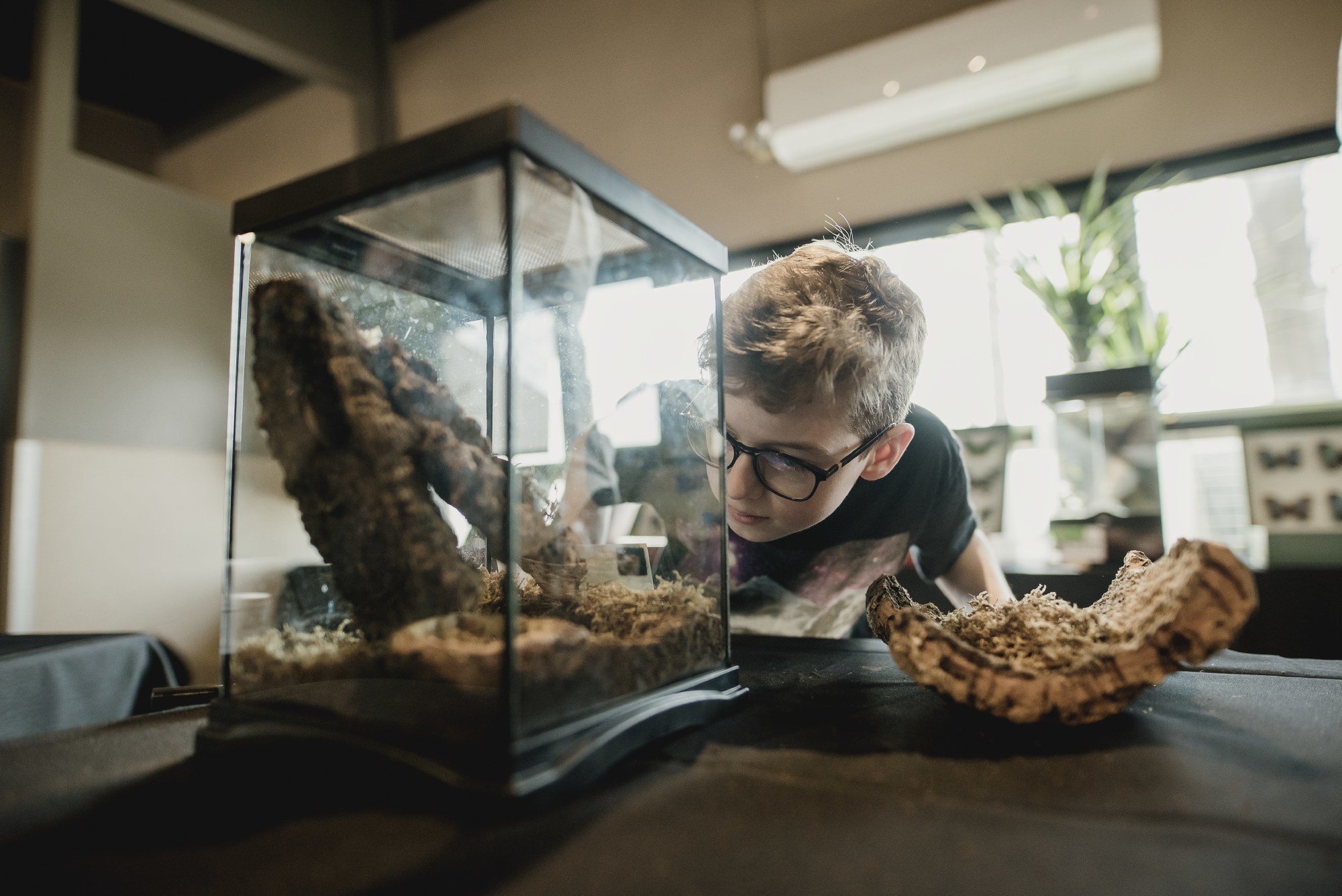 Unable to view the image, Please provide a valid URL.