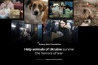 Galaxy Vets Establishes a Charity Foundation to Help Animals in Ukraine