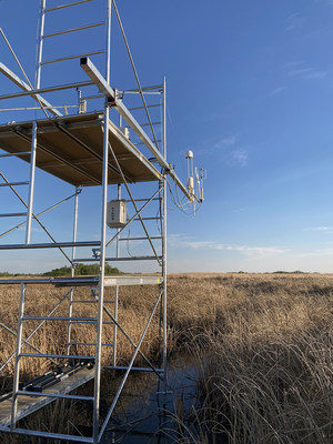 DUC research tower in grazing land marsh near Shoal Lake, Manitoba (CNW Group/DUCKS UNLIMITED CANADA)