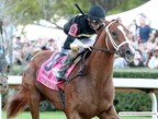 Owner of Arkansas Derby Winner Named Horse After the Life-Changing Accuray CyberKnife® Radiation Therapy Technology Used to Treat His Cancer