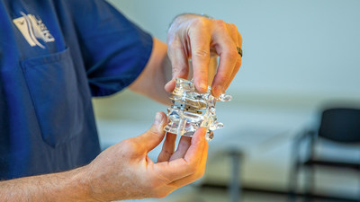 Model of an Artificial Disc Implant