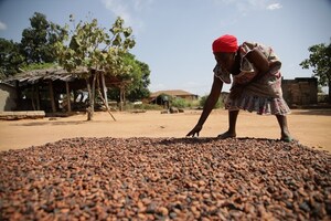 Mars, Incorporated Supports 14,000 Cocoa Farmers on a Path to a Sustainable Living Income by 2030