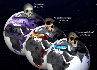Preferred habitats of Homo sapiens (purple shading, left), Homo heidelbergensis (red shading, middle), Homo neanderthalensis (blue shading, right) calculated from a new paleoclimate model simulation conducted at the IBS Center for Climate Physics and a compilation of fossil and archeological data. Lighter values indicate higher habitat suitability. The dates (1 ka = 1000 years before present) refer to the estimated ages of the youngest and oldest fossils used in the study.
