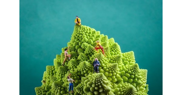 Next Earth et SEE Turtles collaborent sur un jeu caritatif dans le m&eacute;tavers pour le Jour de la Terre