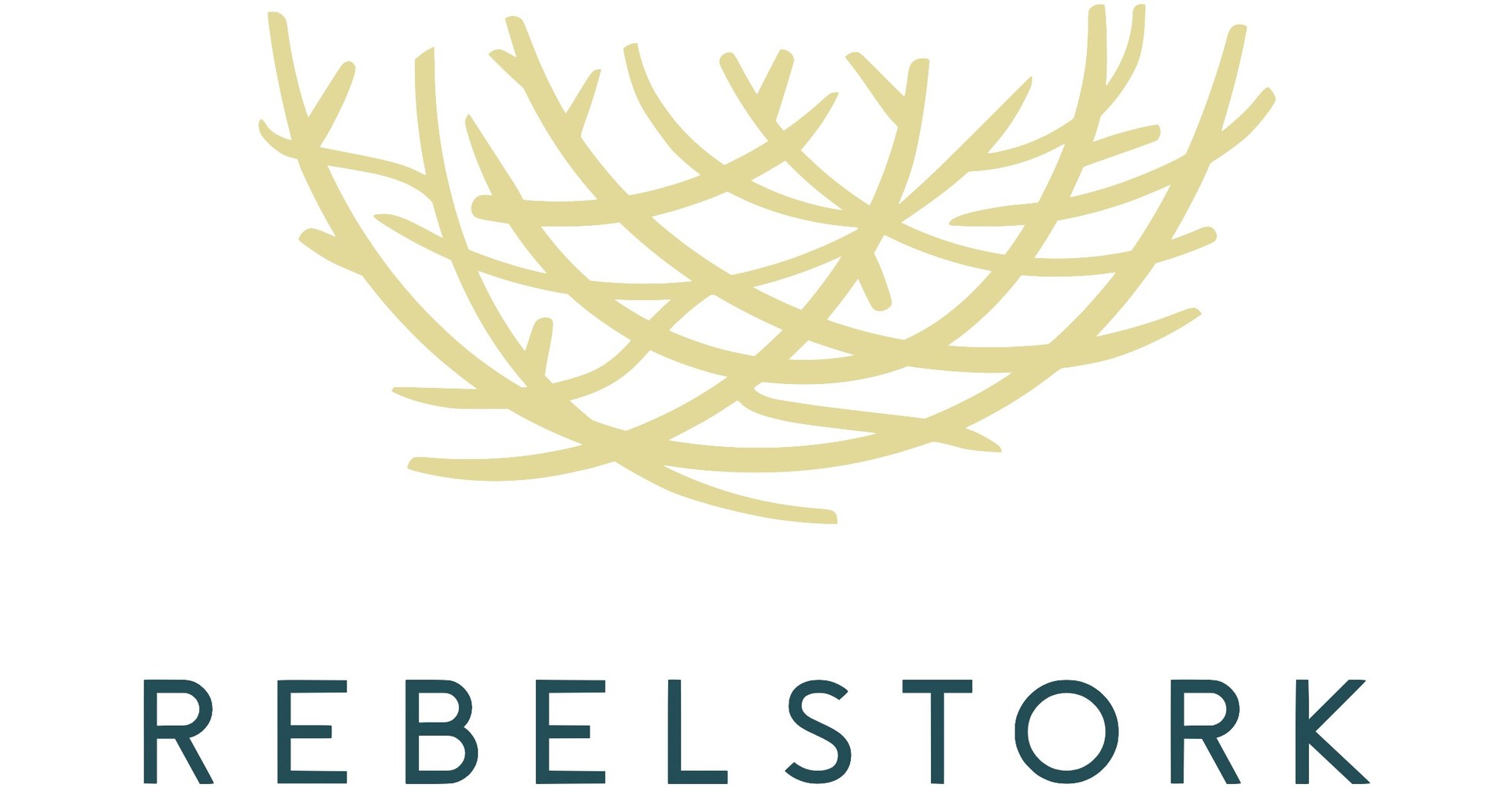 Blockchain Development Seen as Transformative to the Technology Sector: Rapid Innovation Survey