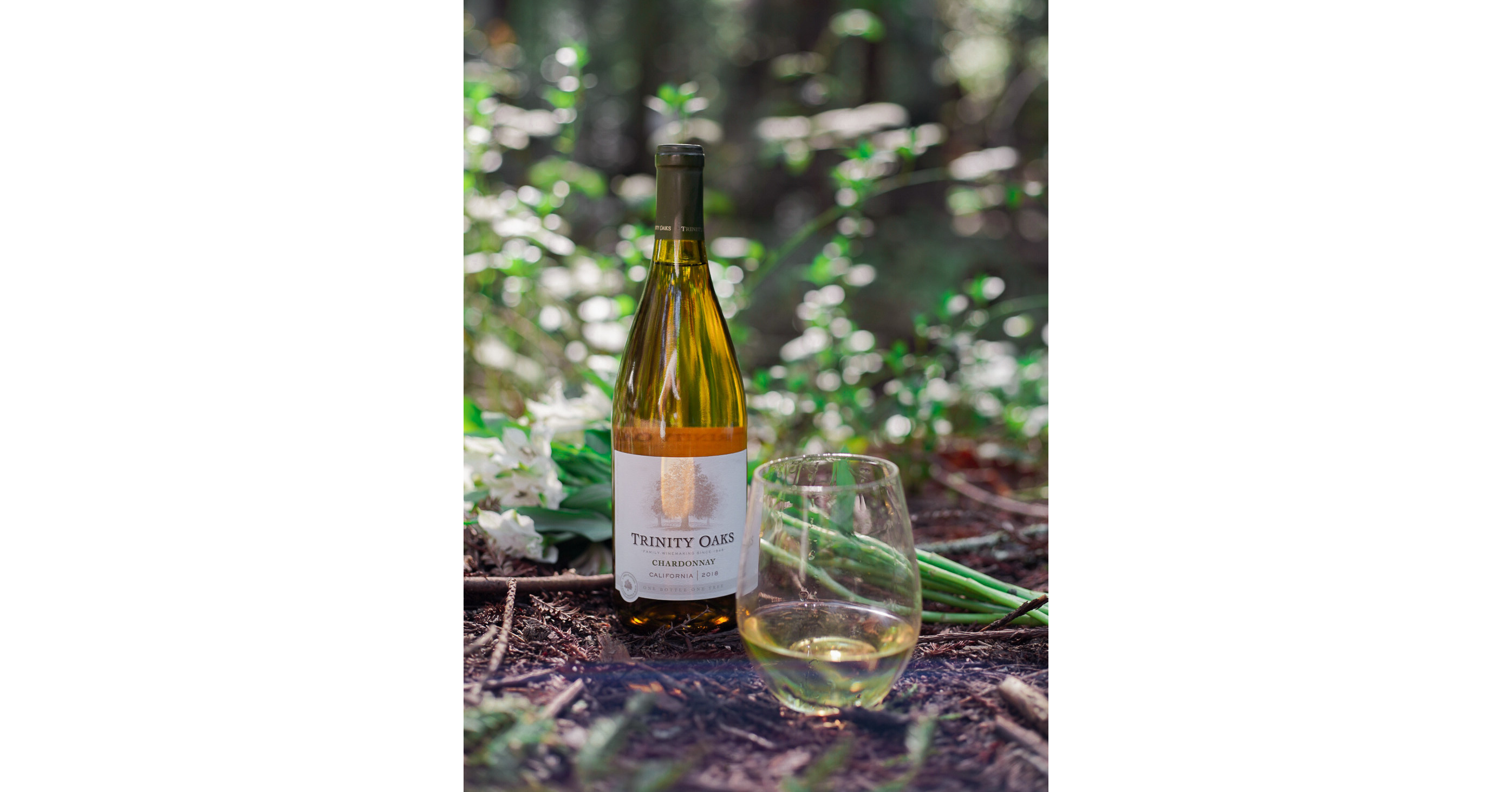 Trinity Oaks Wines And Trees For The Future Nonprofit Toast To 24