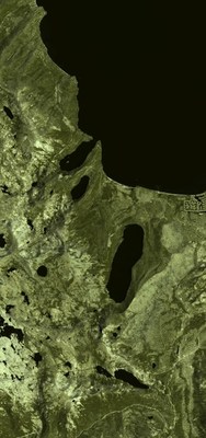 Example of simulated single band satellite image output created in DIRSIG that will be available through Rendered.ai. Courtesy of RIT DIRS Laboratory.aar