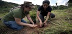 Jungheinrich: 2.800 árvores já foram plantadas em parceria com a Associação Ambientalista Copaíba