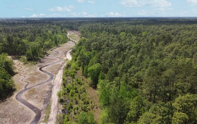 Norfolk Southern announced that it will permanently protect 1,105 acres of ecologically significant land in South Carolina’s coastal plain through a conservation easement.