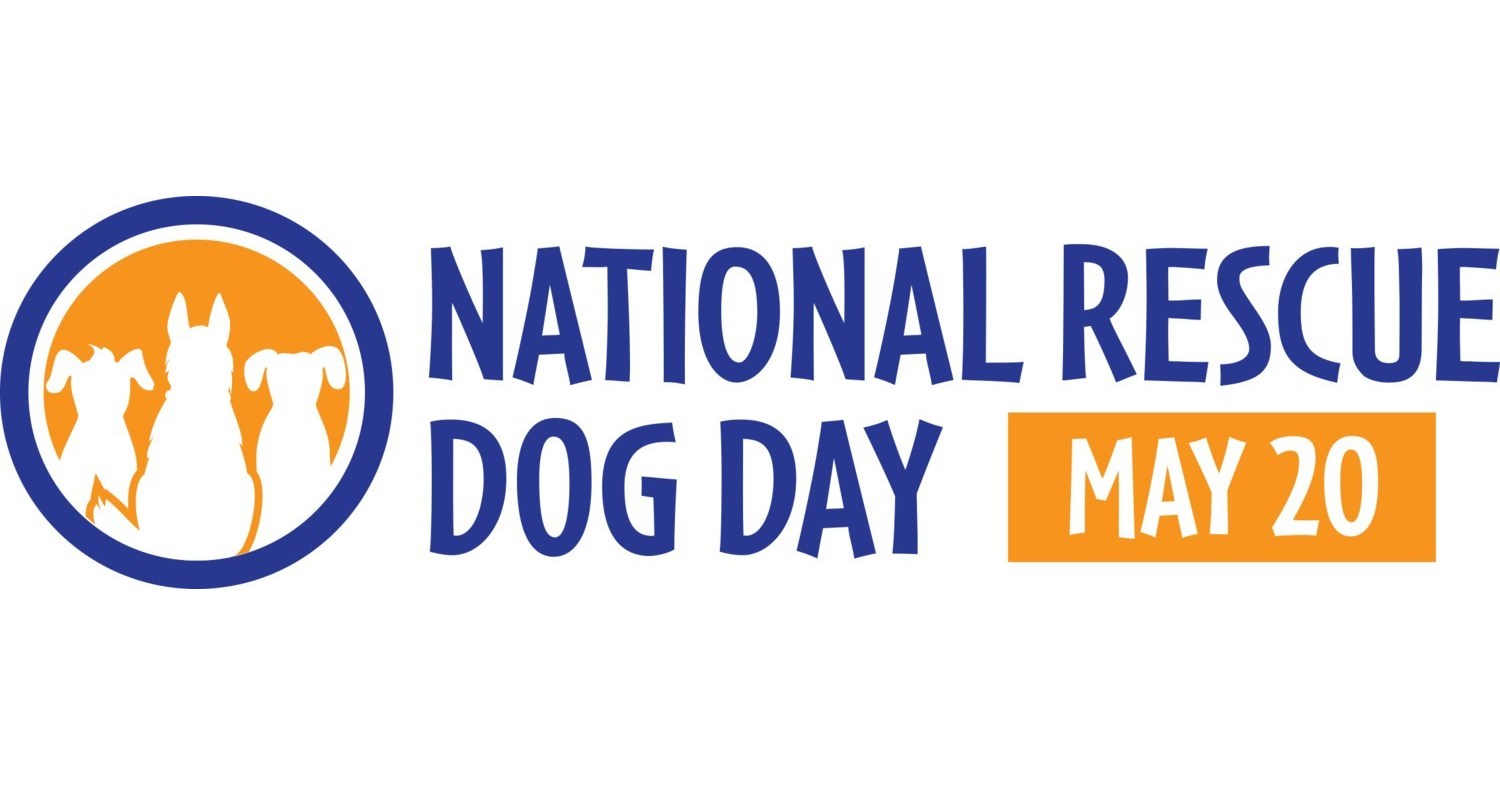 National Rescue Dog Day Invites Public To Vote For Their Favorite