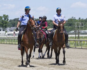 LIFE AFTER HORSE RACING: AFTERCARE PROGRAMS ENSURE FULFILLING SECOND CAREERS FOR PENNSYLVANIA RACEHORSES