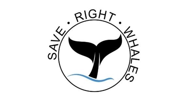 Report: "Conflicts of Interest" - Environmental Organizations Take Offshore Wind Industry Money - Vimarsana News