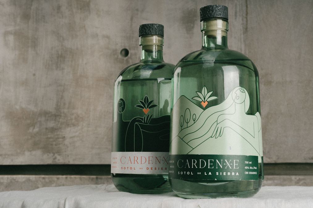 Meet Cardenxe - A Newly Launched Artisanal Sotol Brand at the Intersection of Music and Art - Vimarsana News