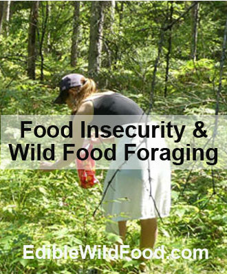 Foraging for Food