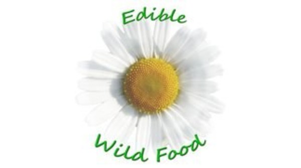 EdibleWildFood.com, Food Insecurity and Foraging for Wild Edibles - Vimarsana News