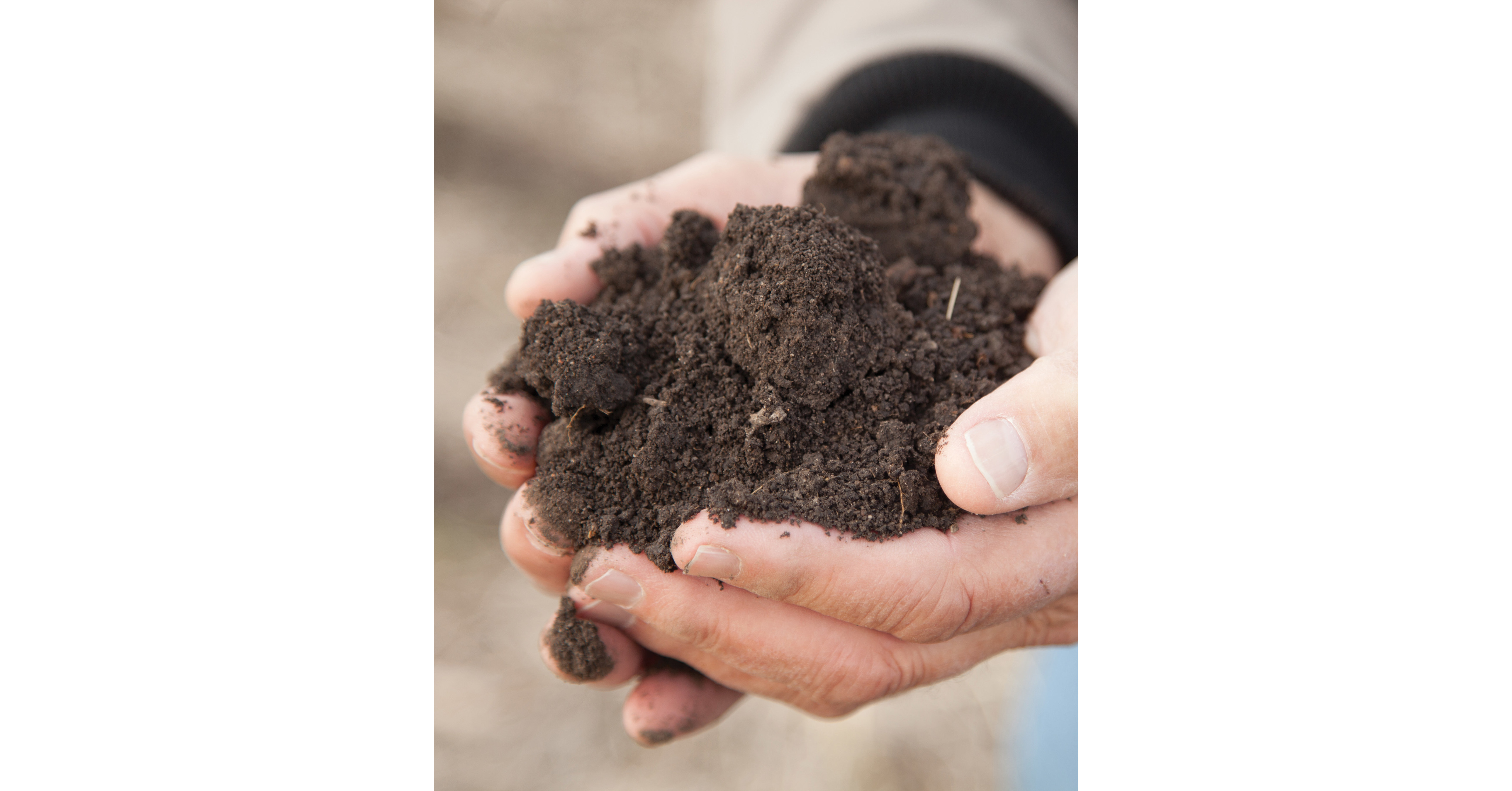 Rooted in Healthy Soil: Conservation Practices Deliver Economic Rewards